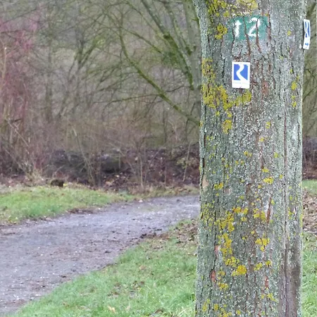 Christho - Am Rheinsteig *