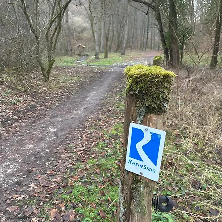 Christho Am Rheinsteig Apartment Vallendar