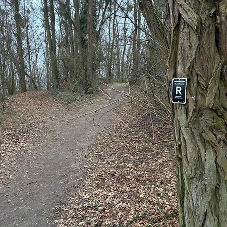 Christho Am Rheinsteig Vallendar