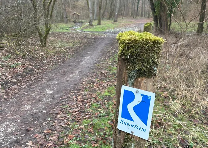 Christho Am Rheinsteig Apartment Vallendar