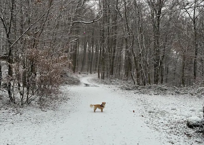 Christho - Am Rheinsteig 法伦达尔