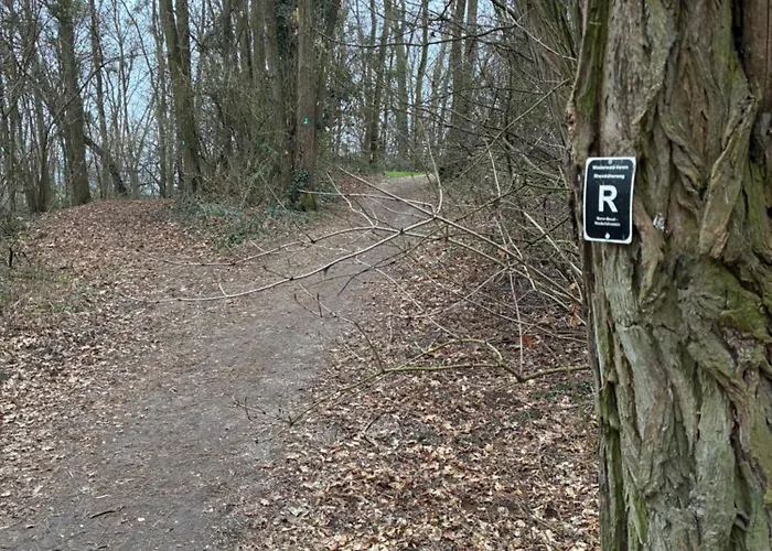 Christho Am Rheinsteig Vallendar